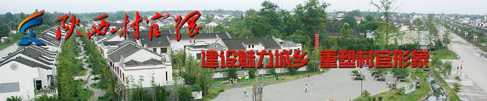 陜西村官網