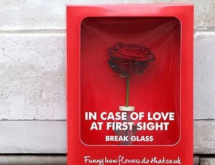 2017情人節送女孩什么禮物 2017情人節送女友禮物推薦