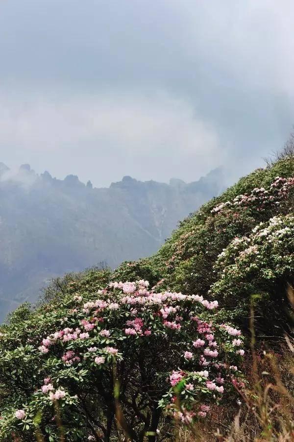 ؎X_µ@8С w[ɽˮĺȥ̎