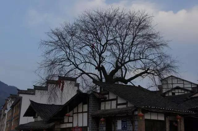 ؎X_µ@8С w[ɽˮĺȥ̎