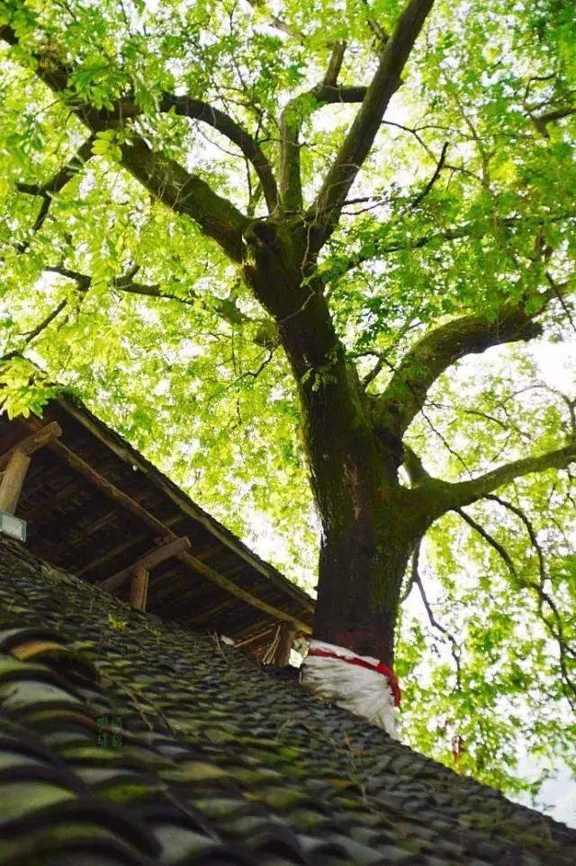 ؎X_µ@8С w[ɽˮĺȥ̎