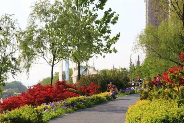 灞橋區著力打造西安最美城區 詳看進階之路