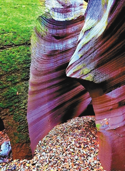 點(diǎn)擊圖片進(jìn)入下一頁 \