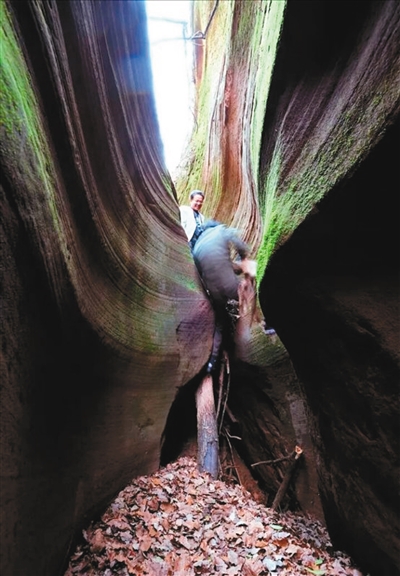 點(diǎn)擊圖片進(jìn)入下一頁 \